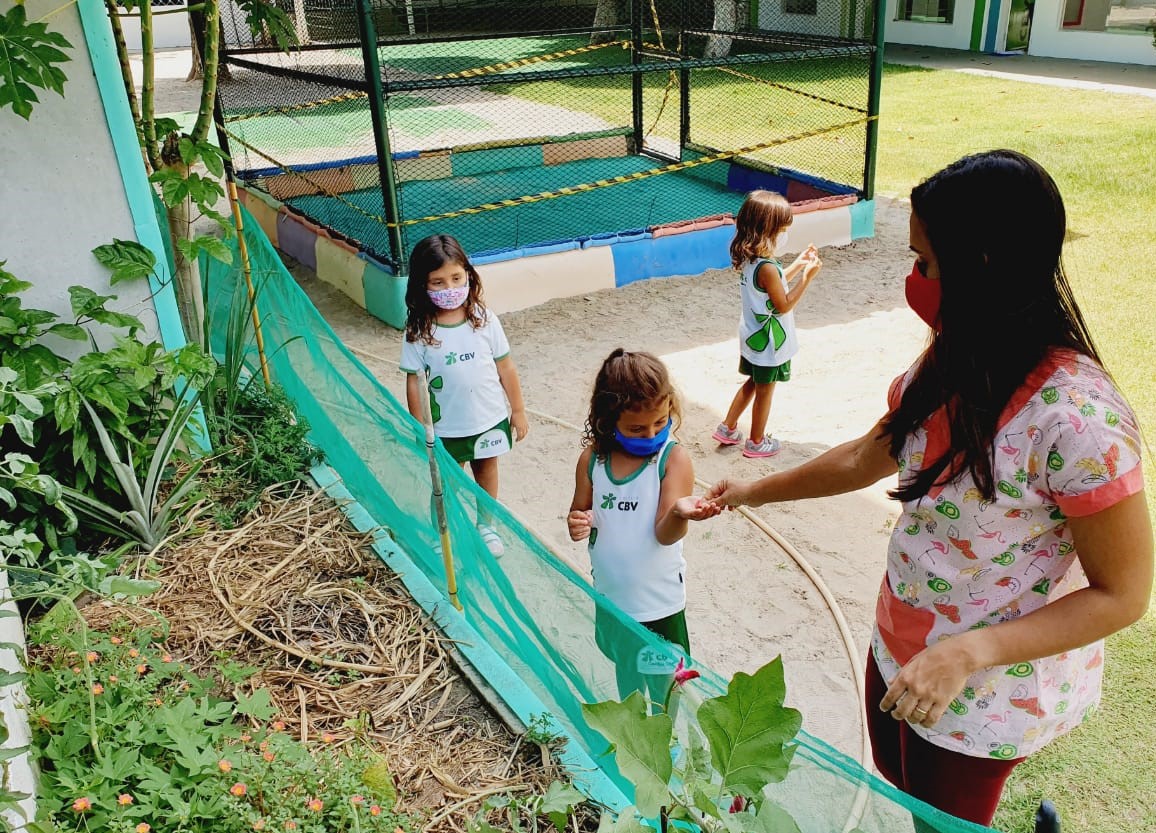 Atividades sobre as Plantas - Educação Infantil