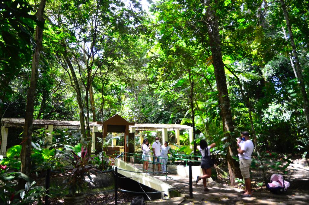 Jardim Botânico do Recife
