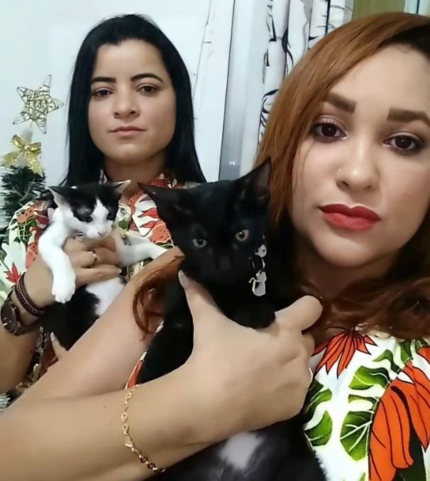 Sexta-feira 13  Os gatos pretos mais ICÔNICOS da Cultura Pop