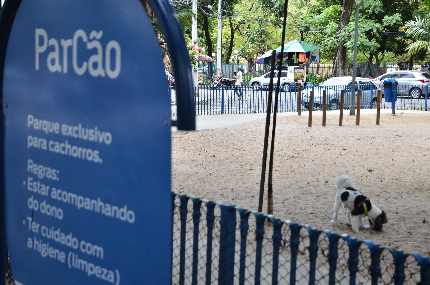 ParCão da Praça dos Cachorros, na Zona Norte do Recife