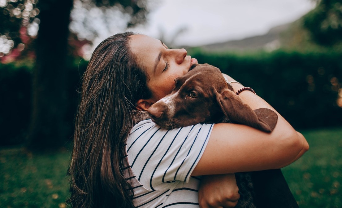 Cachorro ganhando abraço da tutora