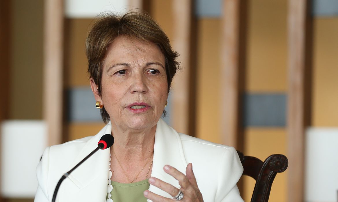Ex-ministra da Agricultura, Pecuária e Abastecimento, Tereza Cristina