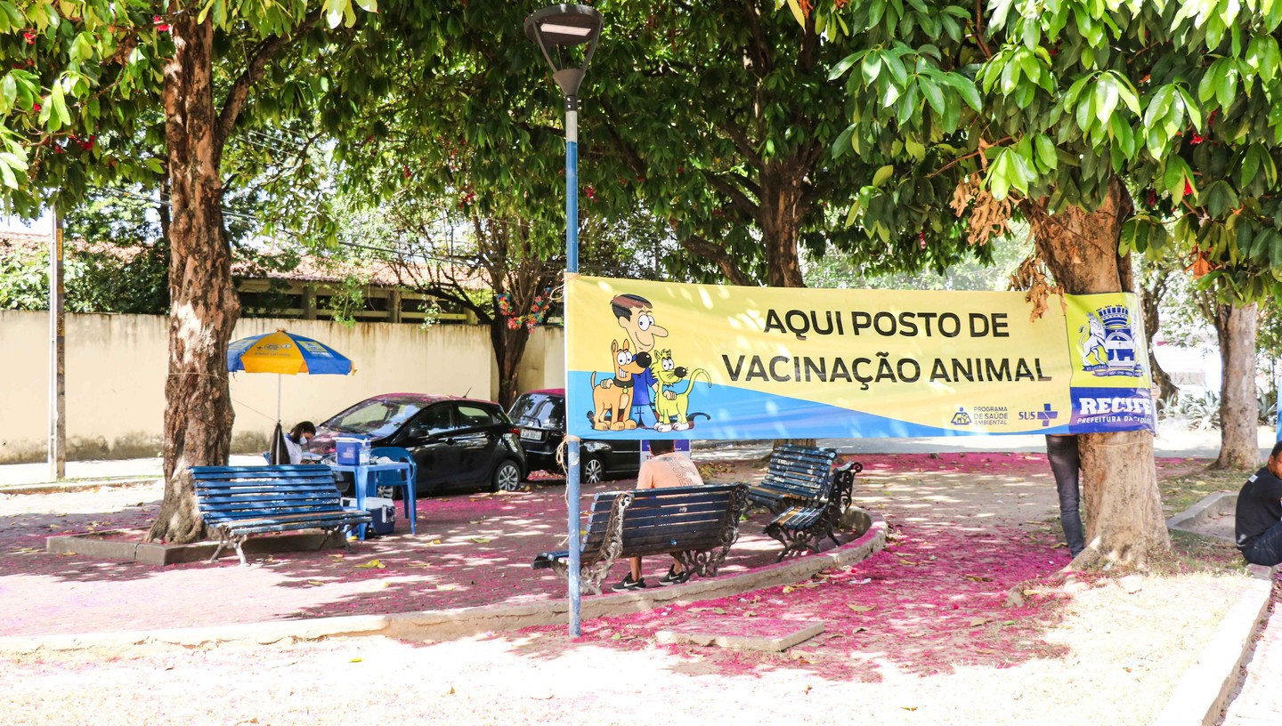 Recife e Olinda promovem vacinação antirrábica para cães e gatos neste  sábado (11) - Folha Pet - Folha PE