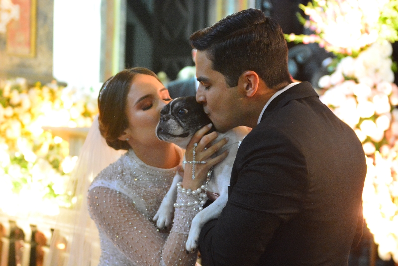 A cachorrinha do casal entrou com as alianças
