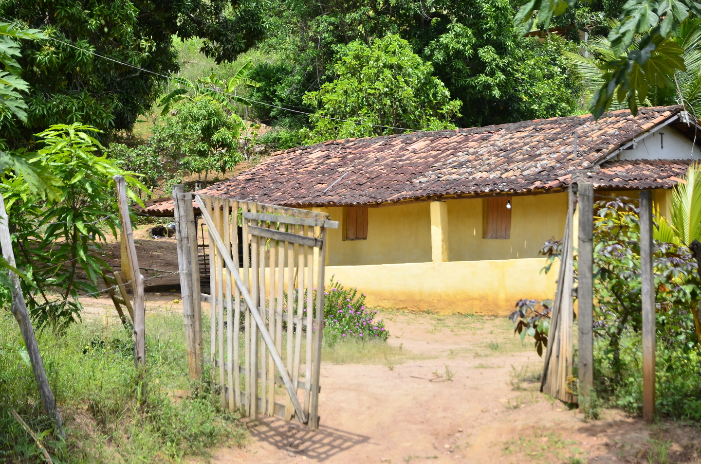 Casas vazias no Sítio Cueiras, zona rural de Glória do Goitá