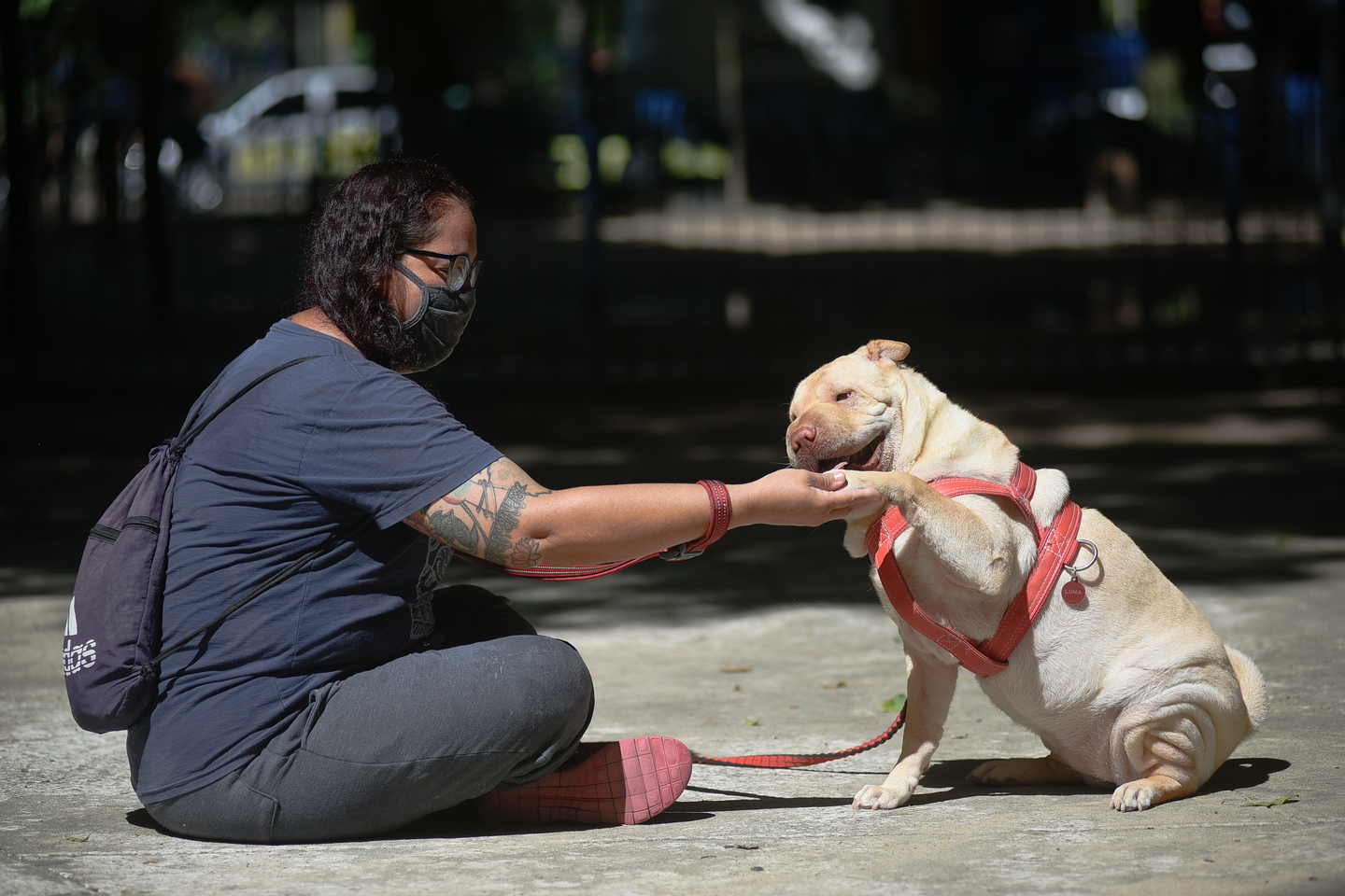 Marinês Dable, Dog Walker