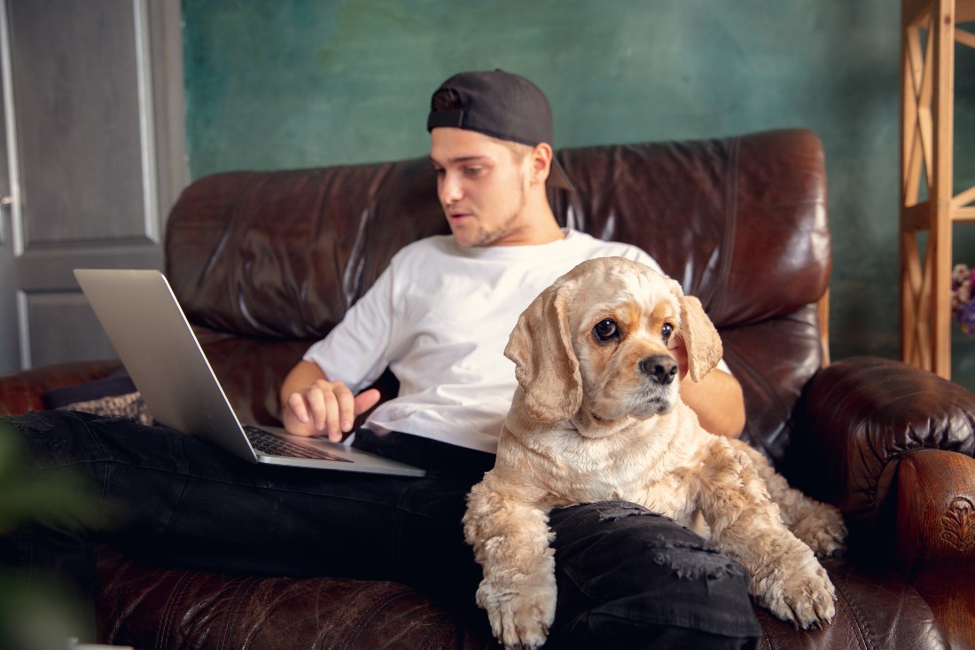 Cachorro acompanha tutor durante home office