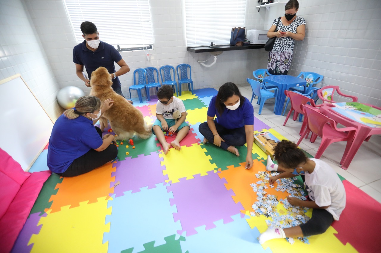 Terapia com cães