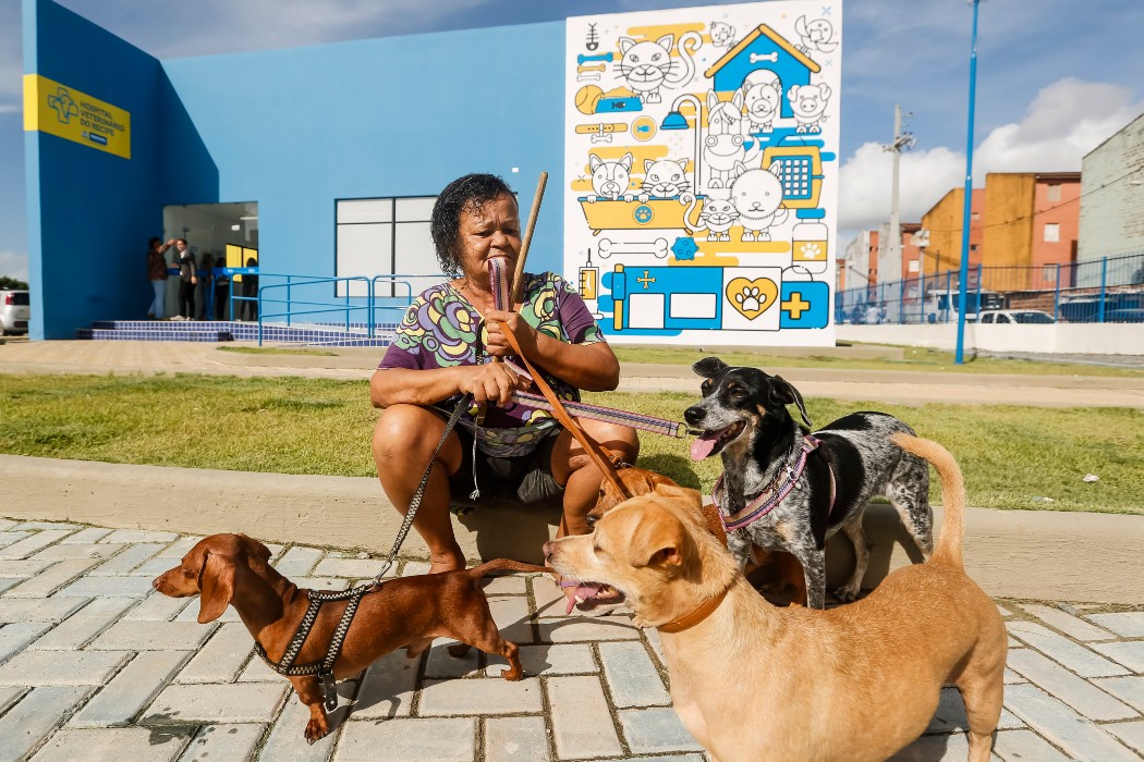 Atendimento no Hospital Veterinário do Recife (HVR)