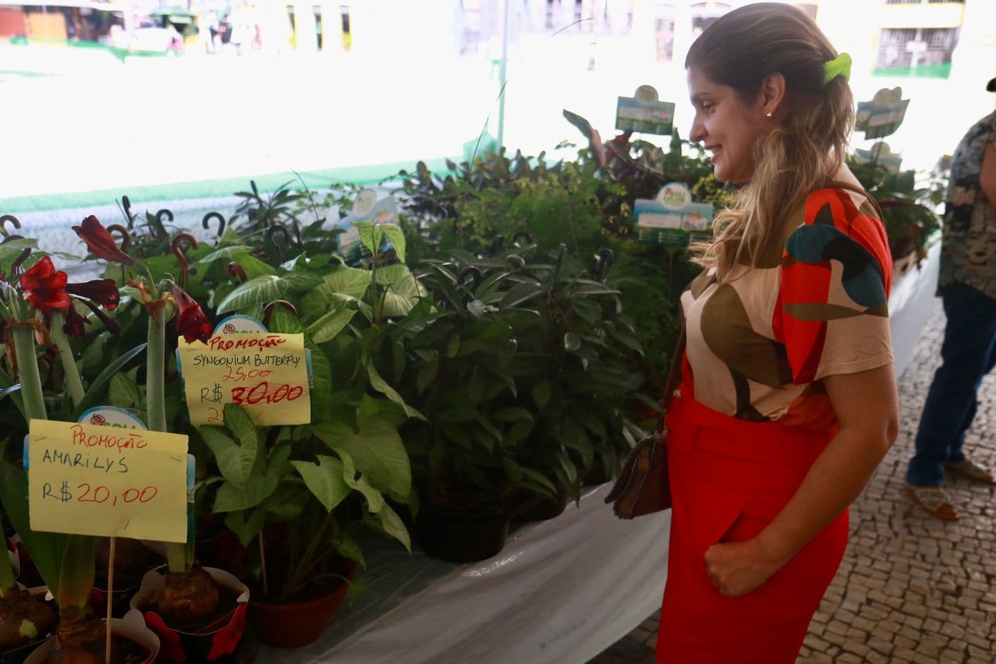 Mês de Maio com festival das flores no pátio da basílica do Carmo, em Recife, na foto, Glauce Oliveira