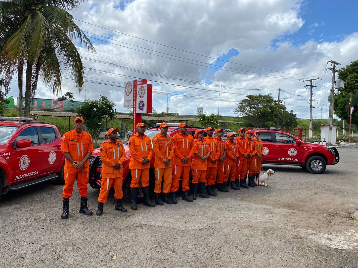 Bombeiros da Bahia com cadela farejadora Cristal