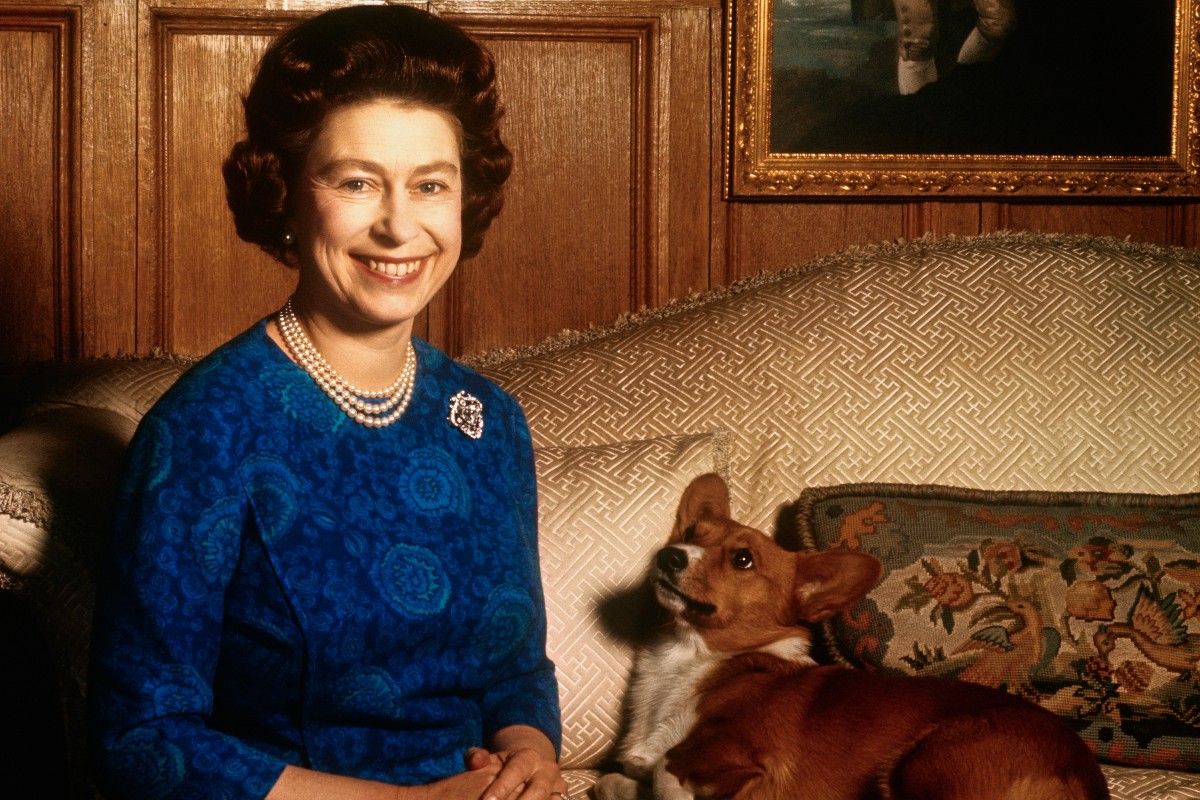 Rainha Elisabeth II e um de seus corgis