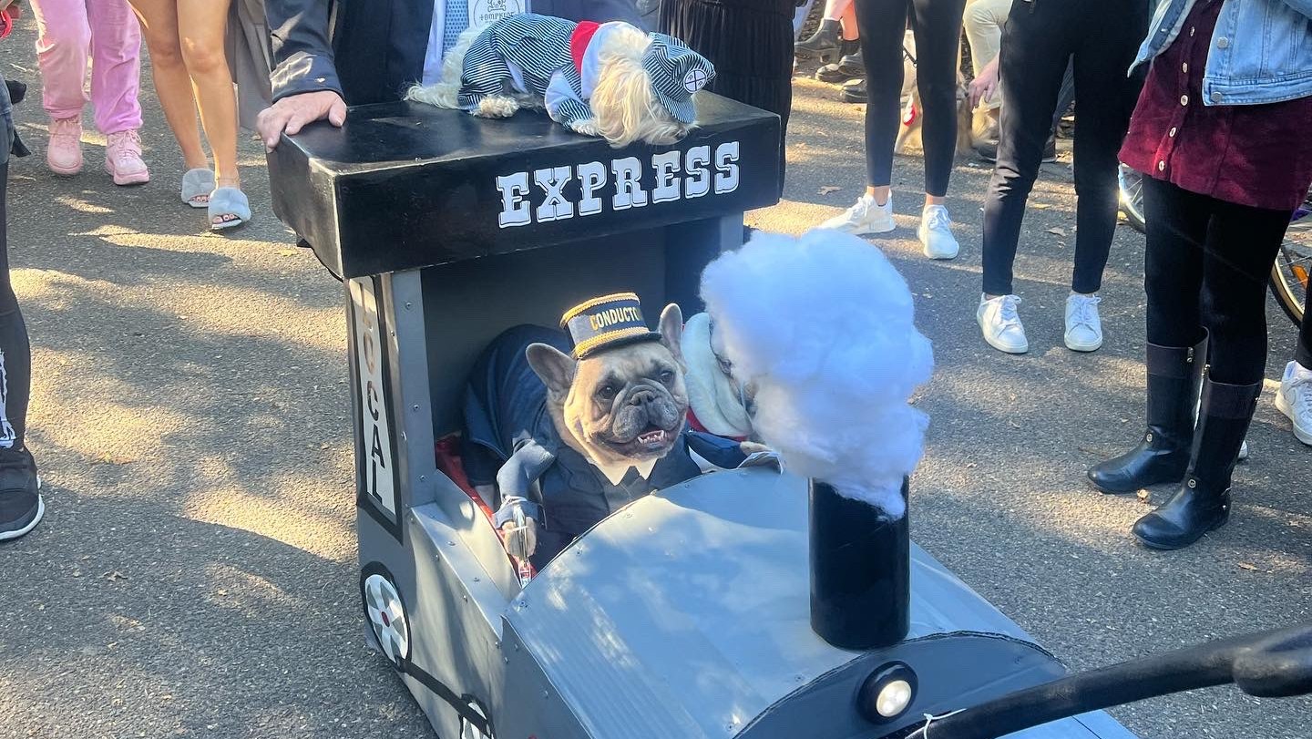 Cachorro guiando locomotiva no Halloween canino do Tompkins Saquare Park, em Nova York