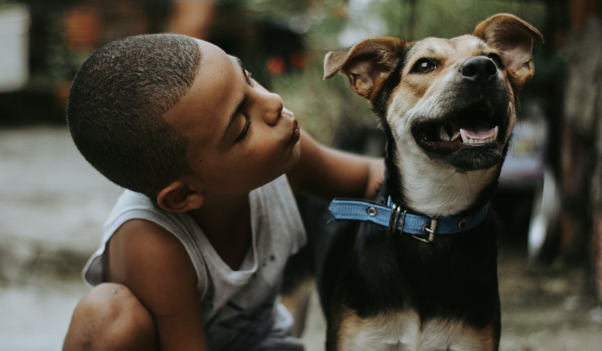 Criança brincando com cachorro