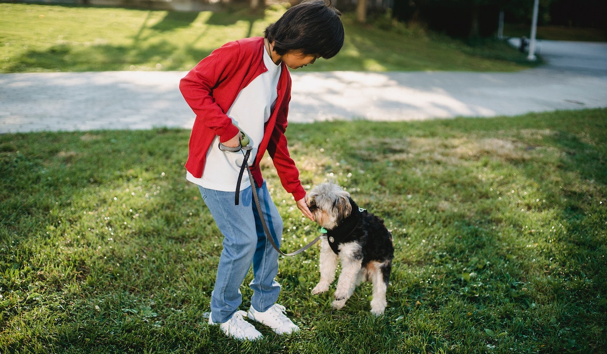 Criança passeando com cachorro