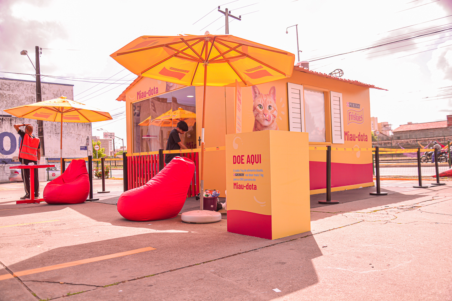 Friskies realiza evento para adoção de gatos em supermercados de Recife e Camaragibe