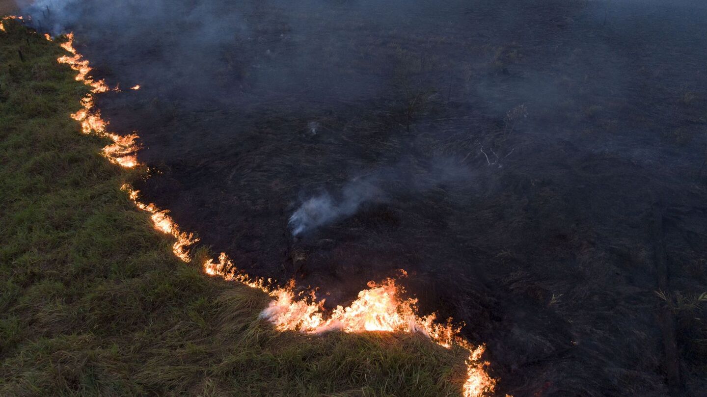 Desmatamento na Amazônia