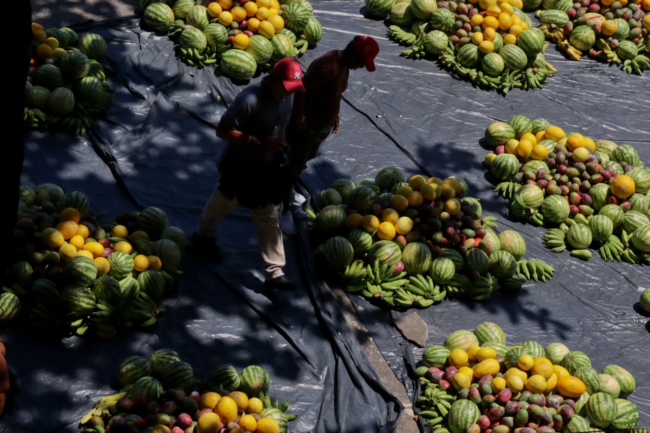 Alimentos para a Campanha Mãos Solidárias