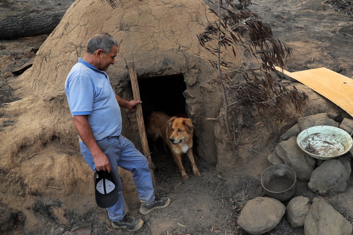 Homem entra dentro de forno com cachorro para escapar de incêndio no Chile