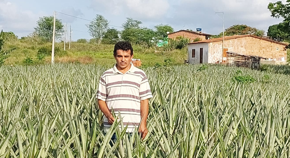 Aglailson Silva começou a plantar com 15 anos e hoje consegue o sustento com a plantação de abacaxi em três hectares (três campos de futebol)