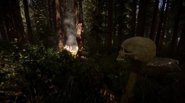 The Forest: requisitos de sistema para PC - Videogame Mais