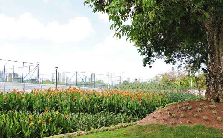 Parque do Caiara, por onde passa o rio Cavouco que deságua no Capibaribe 