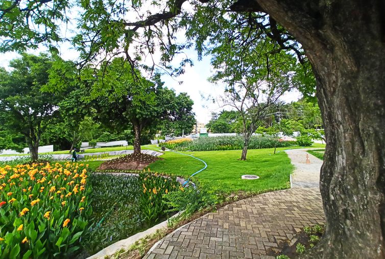 Foto do início de fevereiro dos jardins filtrantes do Parque do Caiara 