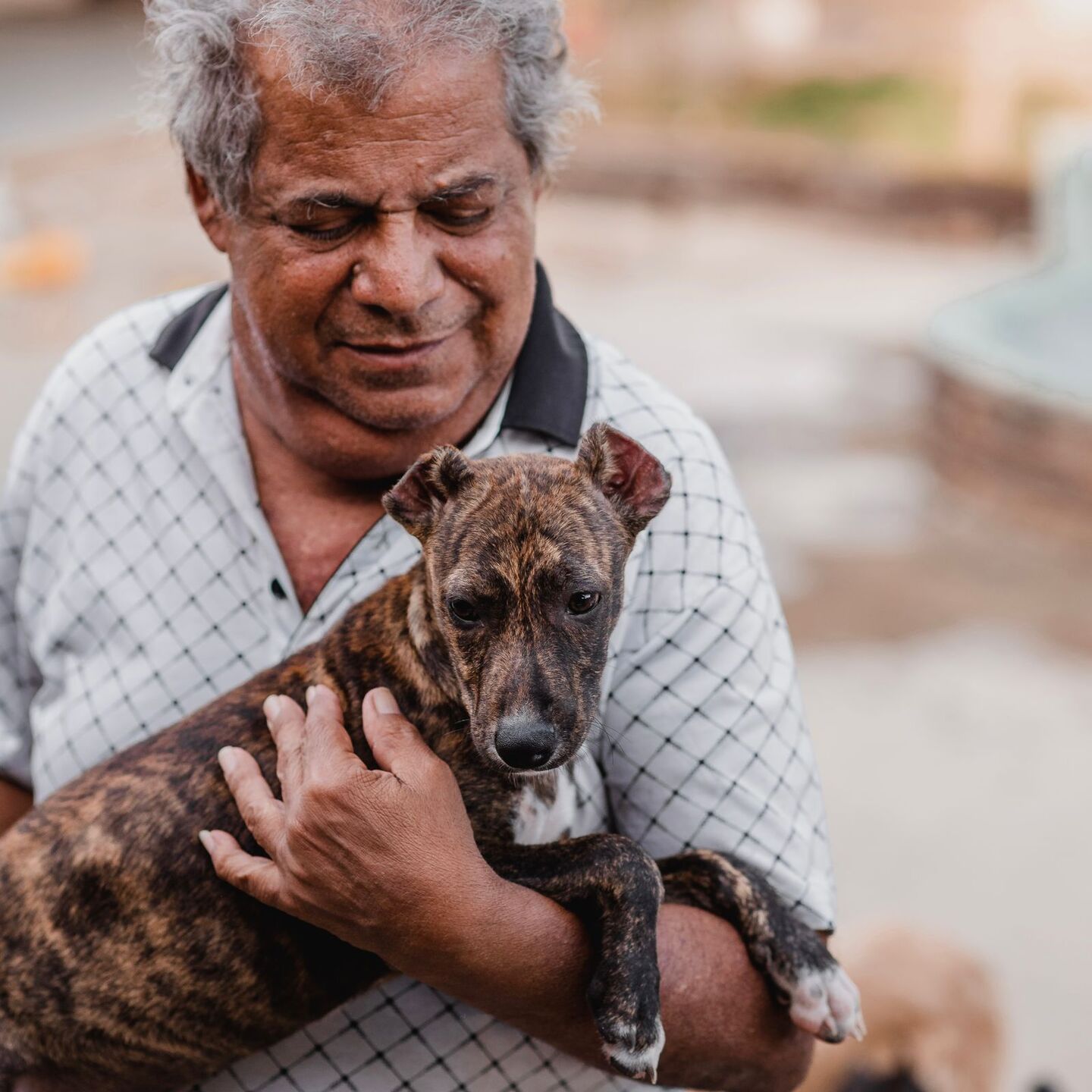 Seu Alberto e um dos cães dos quais cuida 