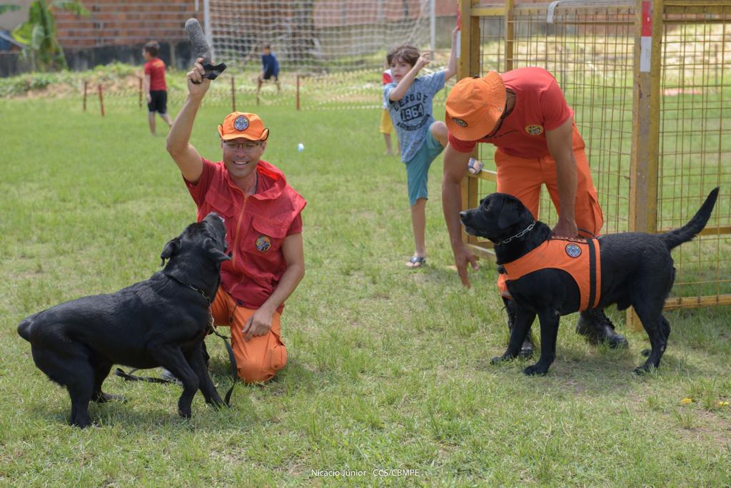 Cães do Corpo de Bombeiros de Pernambuco