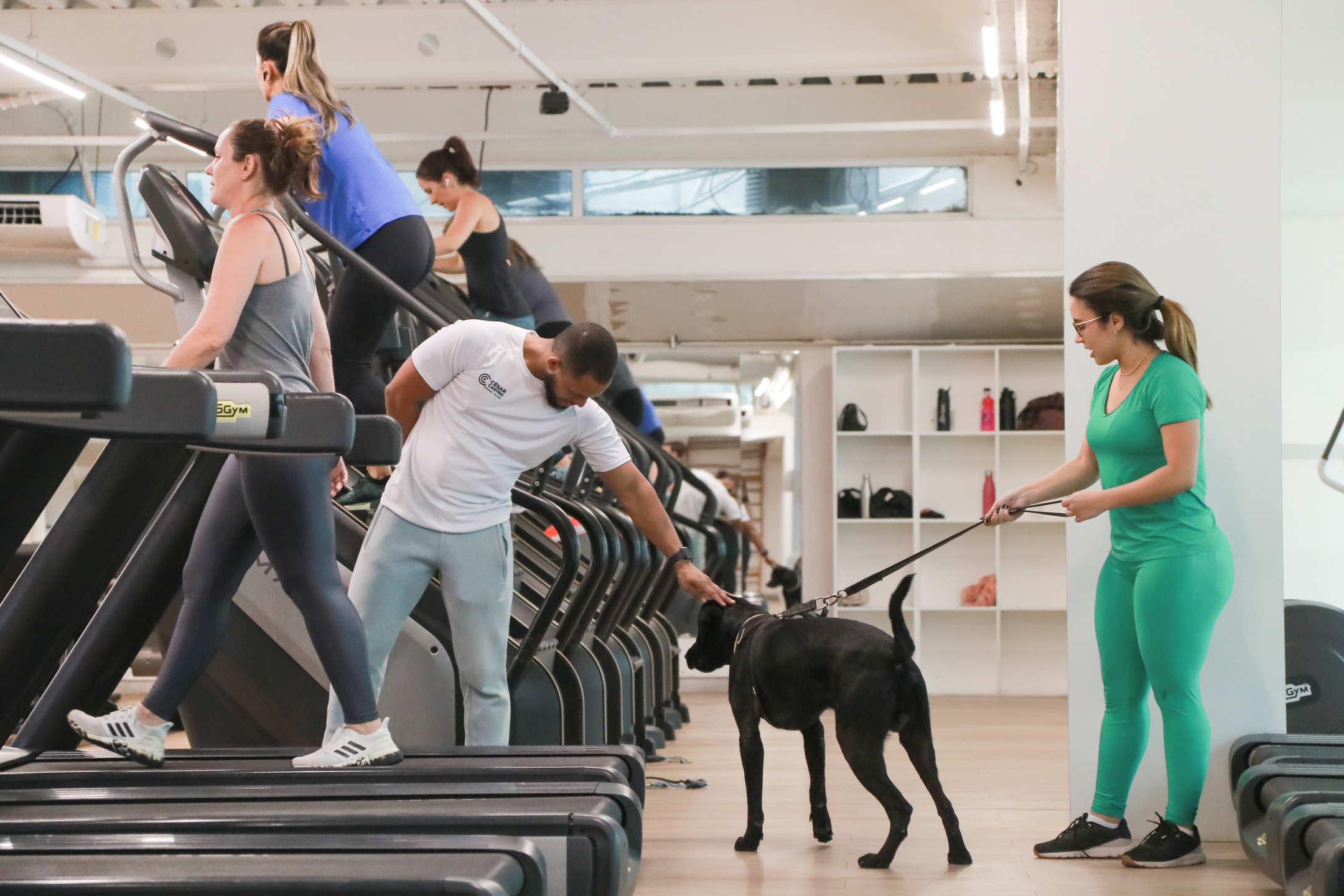 Santino, o cãozinho adotado pela academia Santé