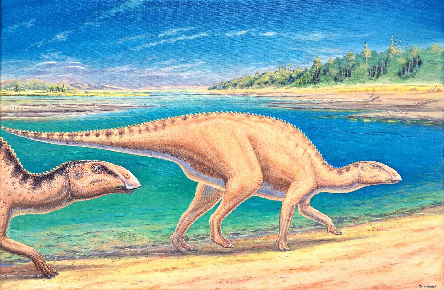 Ilustração de Mauricio Alvarez de um dinossauro, cujos restos foram encontrados na Patagônia chilena em 8 de junho de 2023