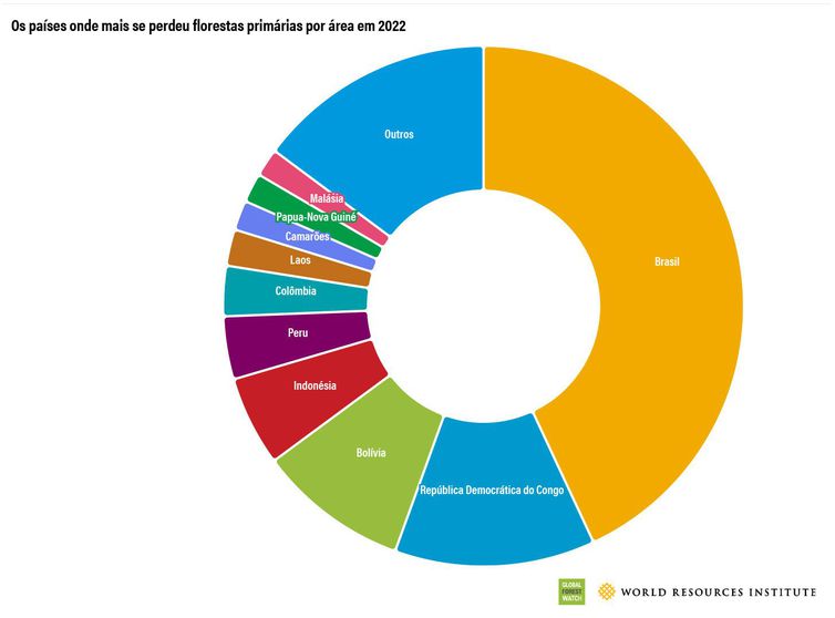 DESMATAMENTO - Tabela com ranking dos países com mais perdas de florestas primárias