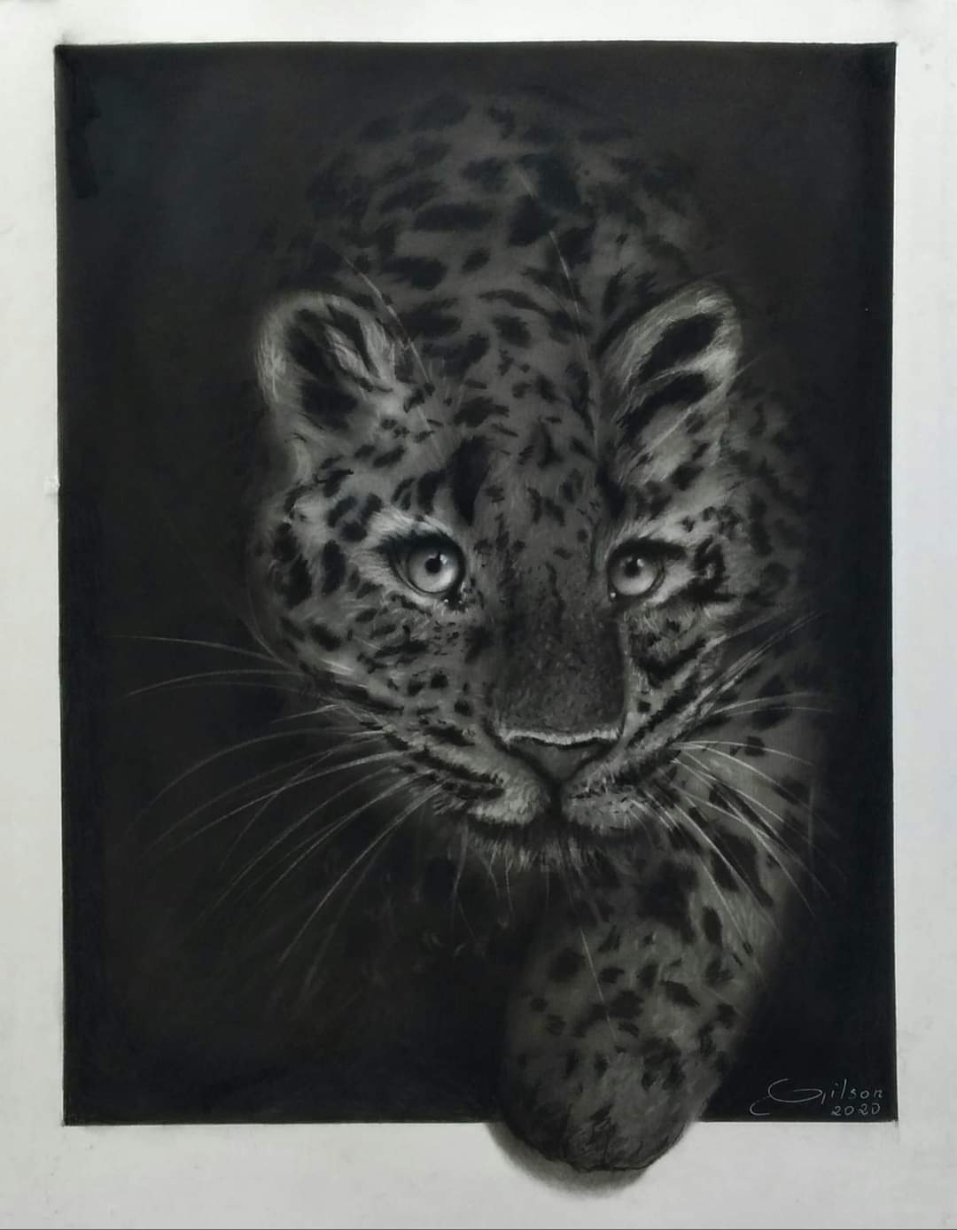 Mostra