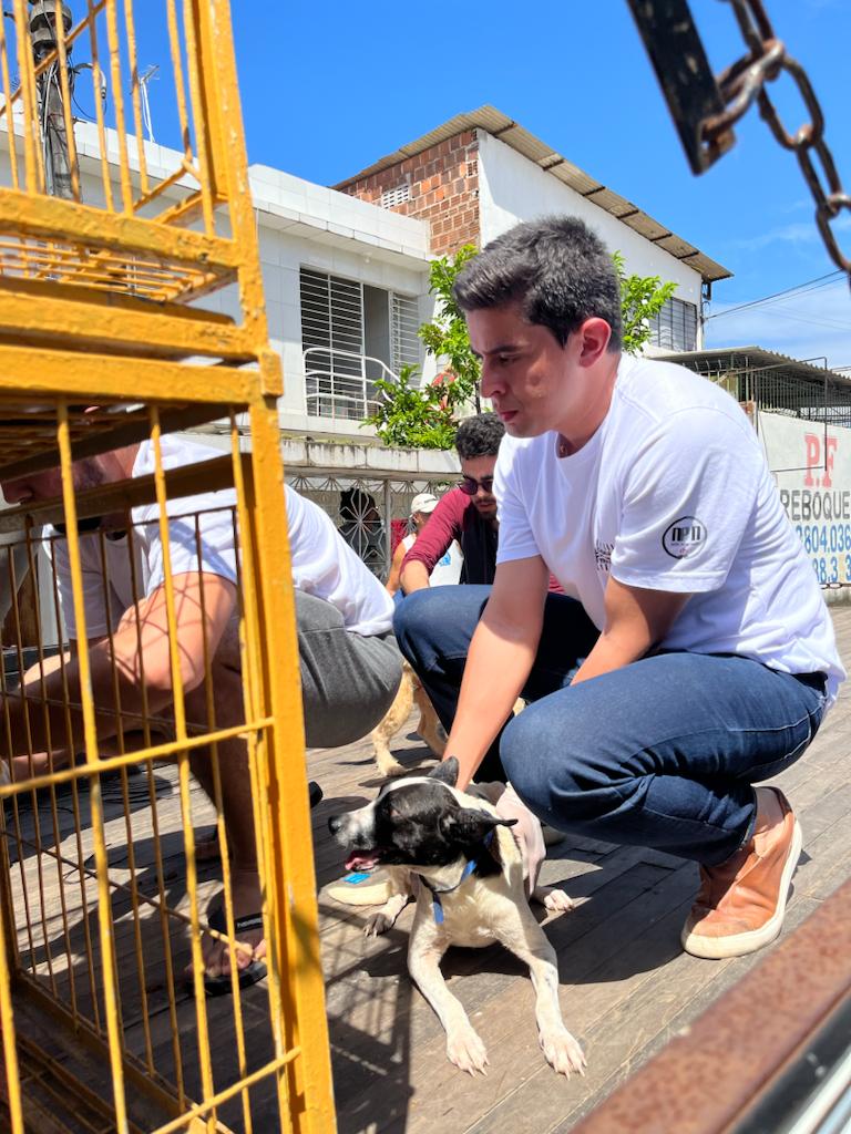 Resgate de cães em situação de maus-tratos em Olinda