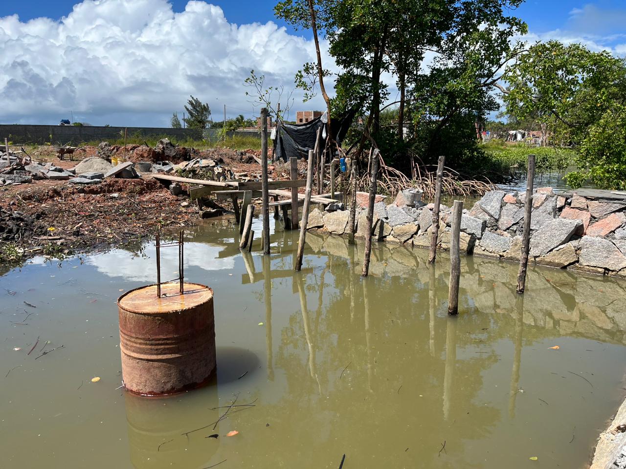 Obra sendo erguida de forma irregular em uma área preservada de mangue