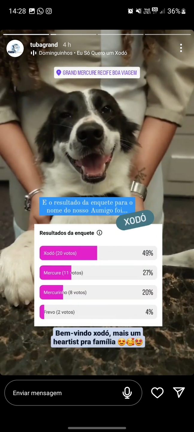 Enquete que decidiu o nome do pet Xodó