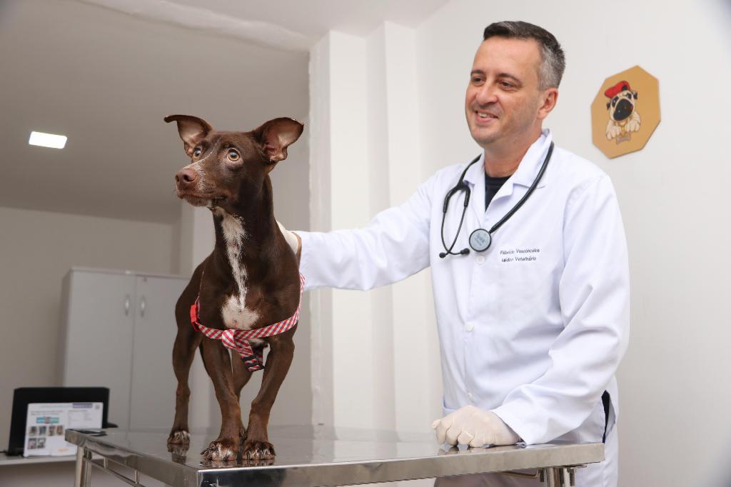 Paulista inaugura Centro de Triagem Veterinário para atendimento gratuito da população