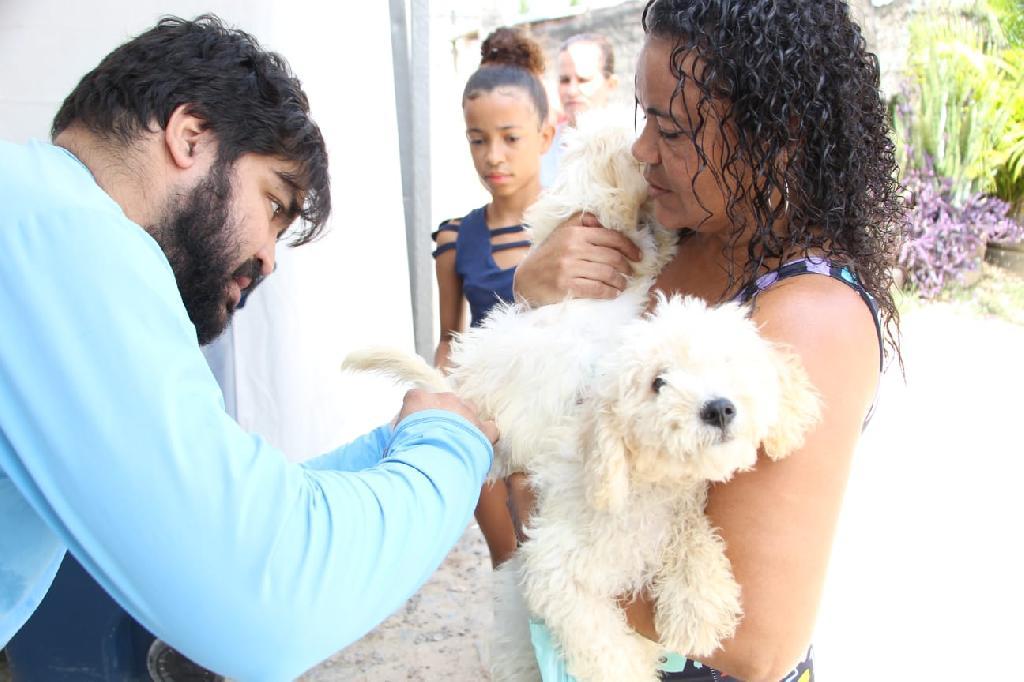 Vacinação de Cães e Gatos 