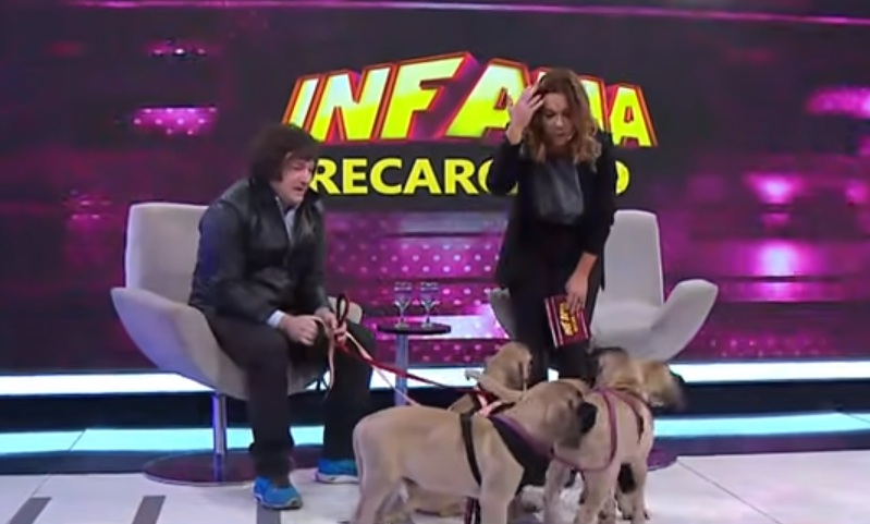 Milei em programa de TV com seus quatro cães clones de Conan