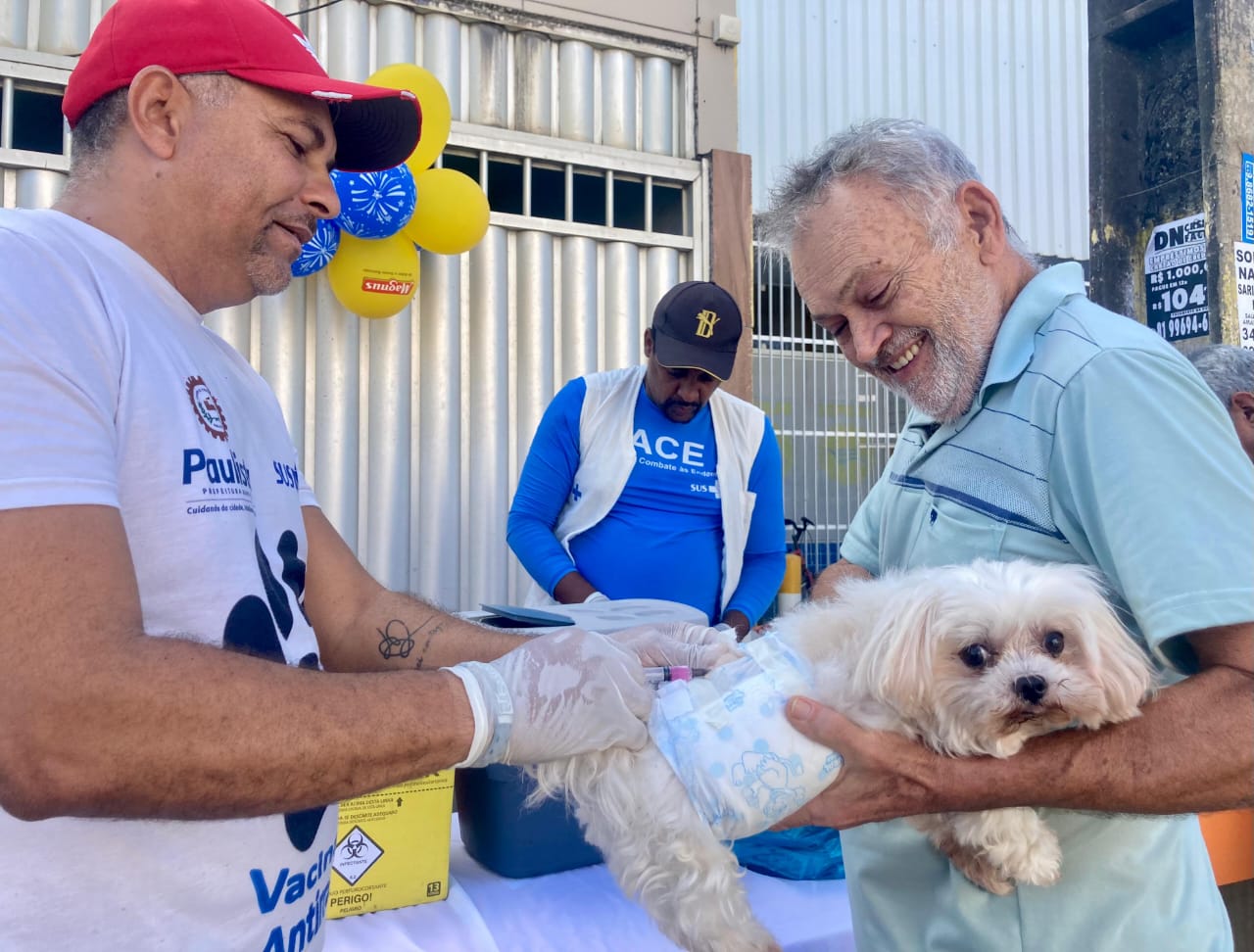 Vacinação antirrábica em Paulista
