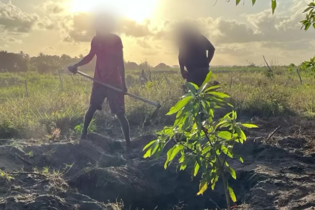 Momento em que suspeito desenterra ossada da jovem