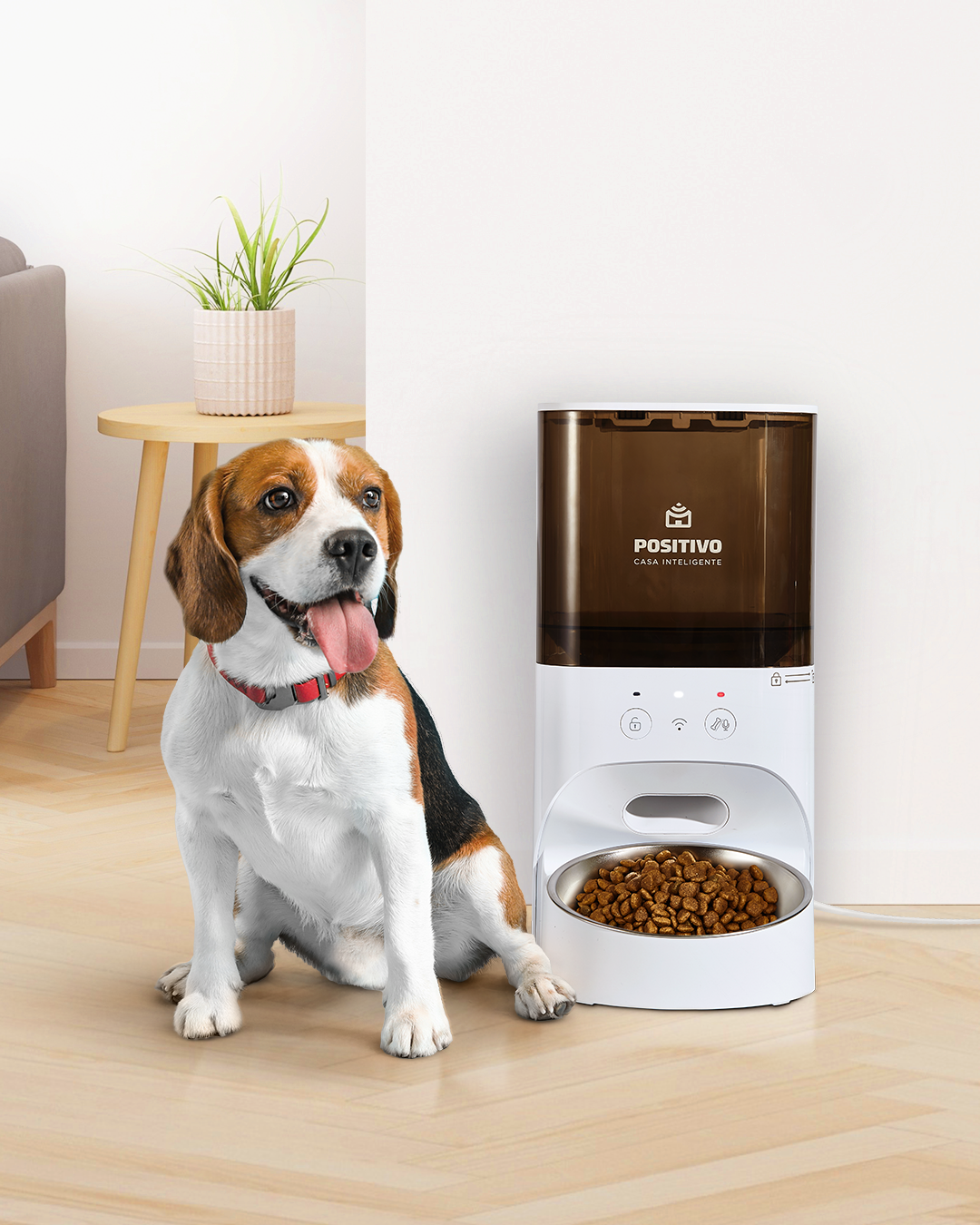 Smart Alimentador Pet Wi-Fi da Positivo 