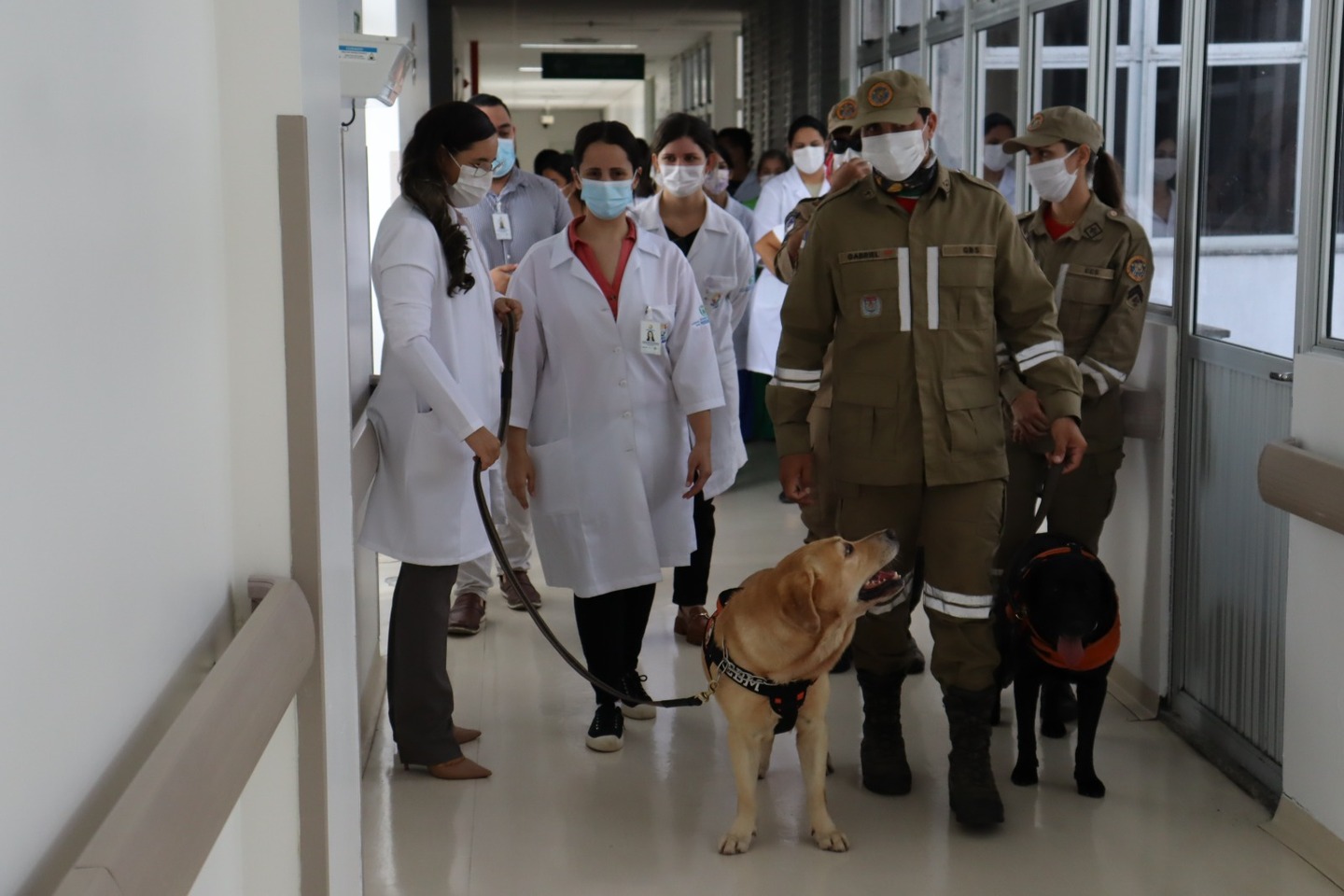 Cães do Corpo de Bombeiros visitam Hospital Miguel Arraes