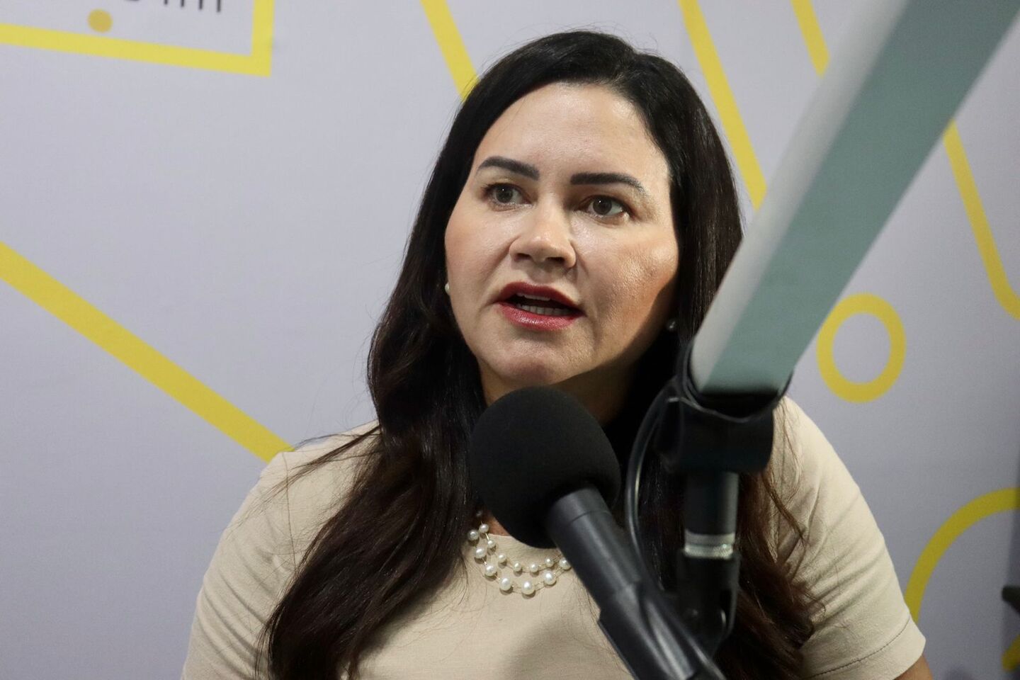 CEO da Bidweb, Flávia Brito