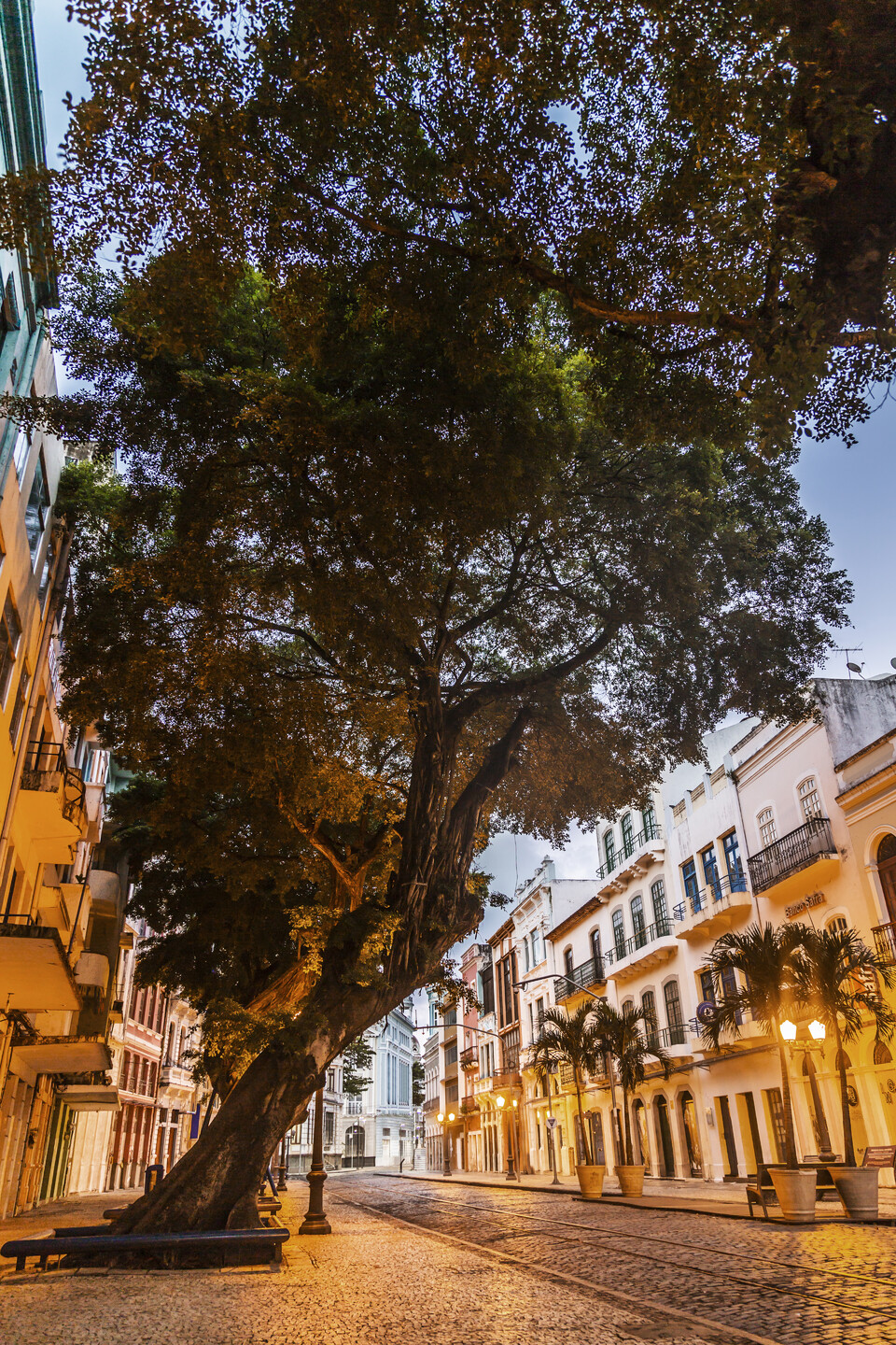 Rua do Bom Jesus. 