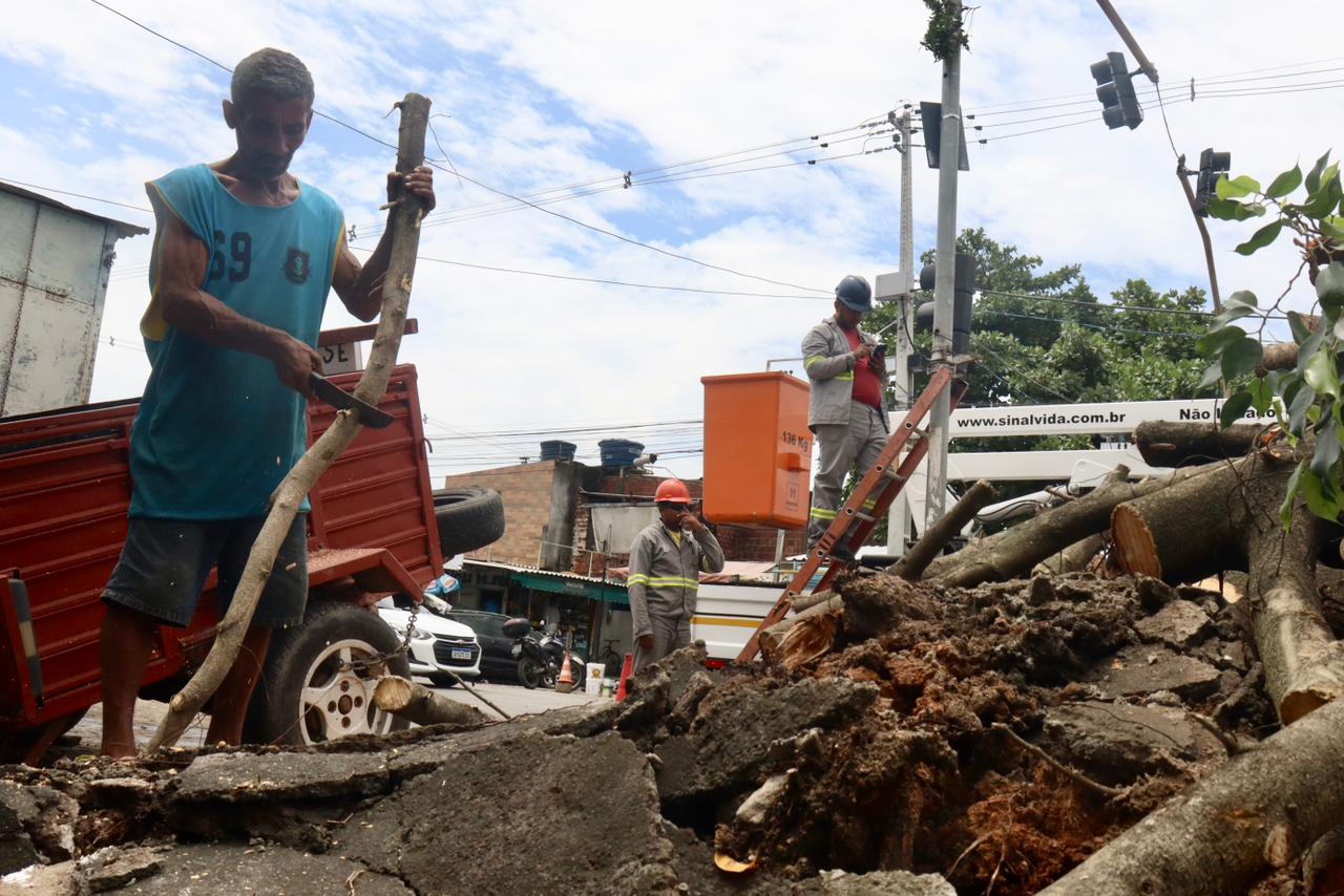 Árvore cai e atinge semáforo em Rio Doce, Olinda, em decorrência das fortes chuvas e ventanias