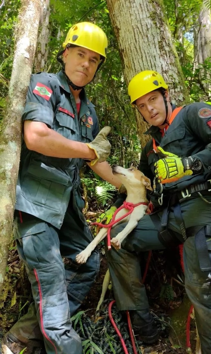 Bombeiros usam rapel para resgatar cachorro em Santa Catarina