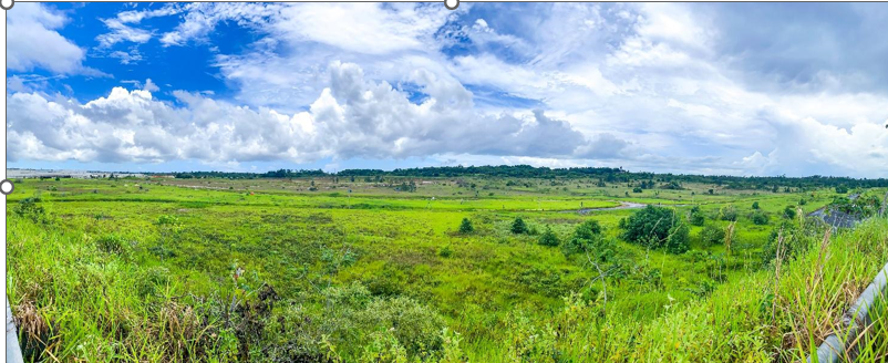 Terreno onde será construída a futura montadora da BYD no Polo de Camaçari, na Bahia. Foto: BYD/DivulgaçãoTerreno BYD