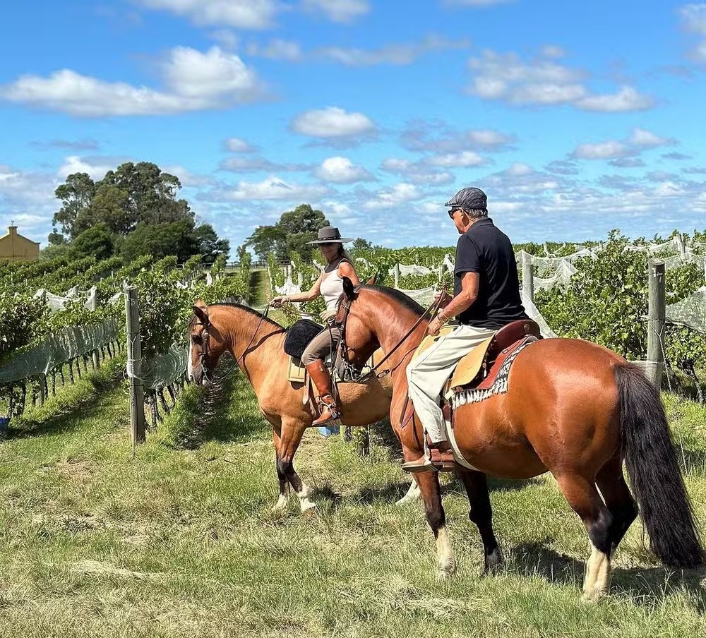 Galvão Bueno curte sua fazenda em cima do cavalo 