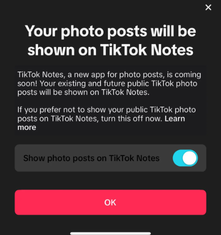 Usuários poderão escolher se desejam ou não compartilhar posts do TikTok na nova rede | Foto: TikTok/Reprodução